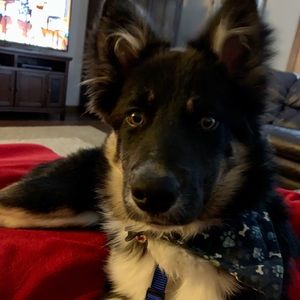 Meet your Posher, Julie